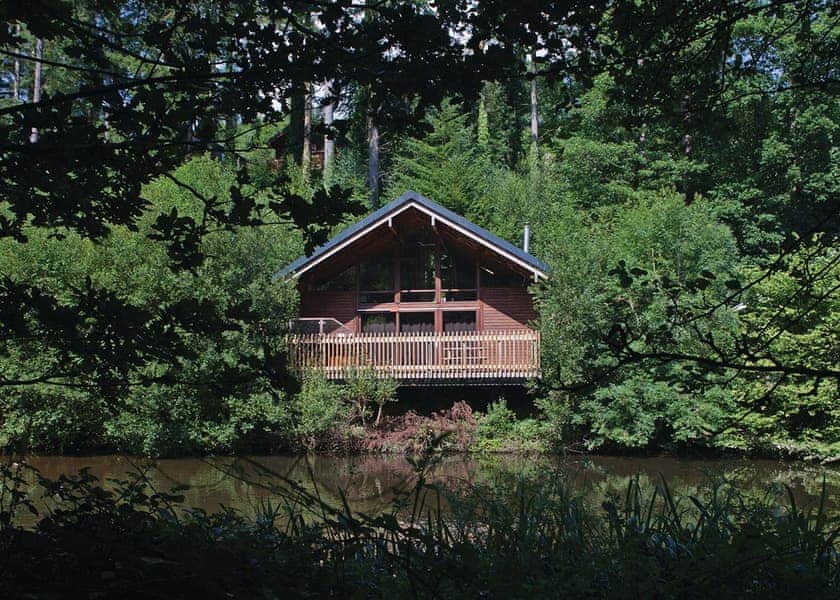 Deerpark Golden Oak 3 (Pet)