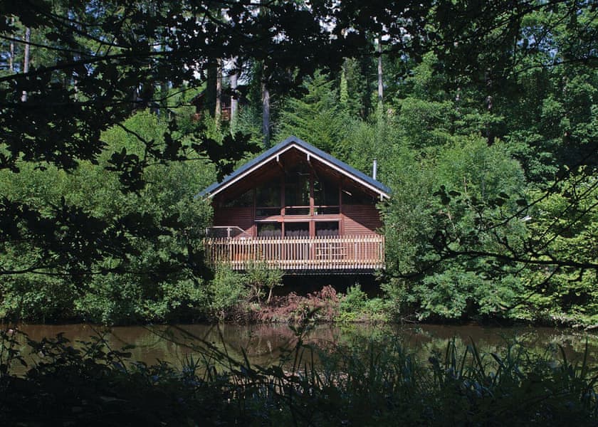 Deerpark Golden Oak 3