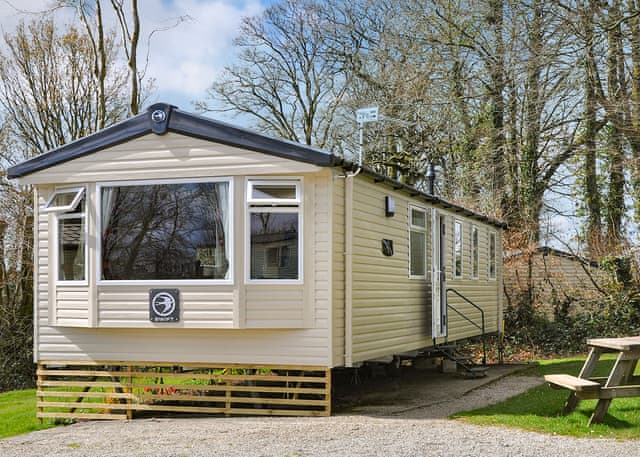 Super Robin - Woodovis Park, Tavistock