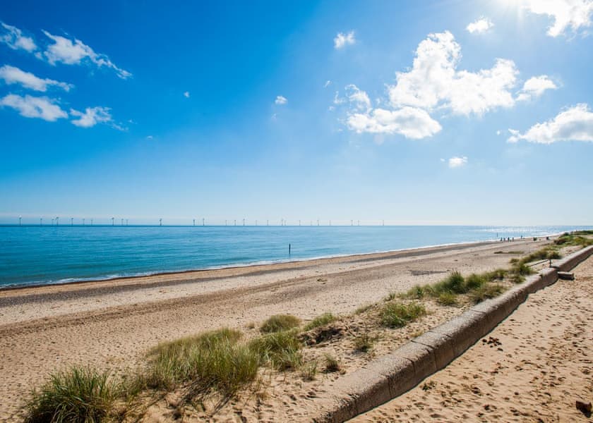 is caister beach dog friendly