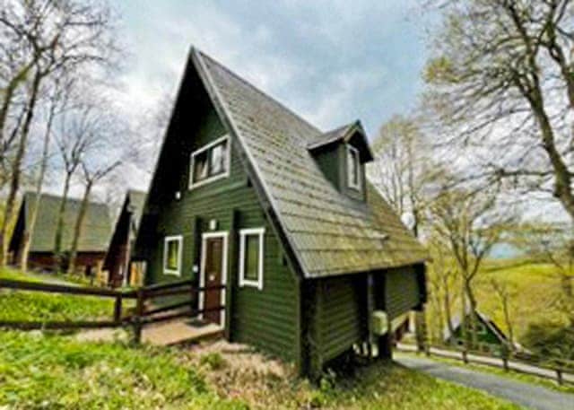 Traditional Woodland Lodge 6 - Finlake Resort & Spa, Chudleigh, Newton Abbot