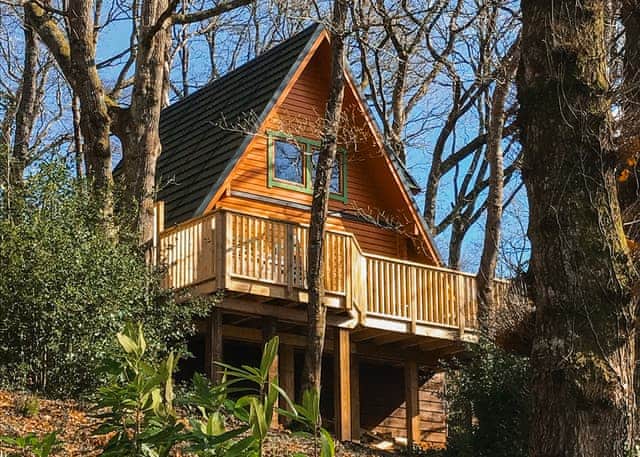 Luxury Woodland Lodge Hot Tub 4 - Finlake Resort & Spa, Chudleigh, Newton Abbot
