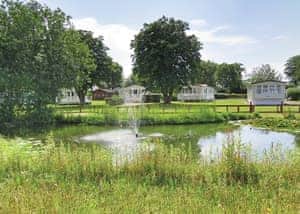 The park setting