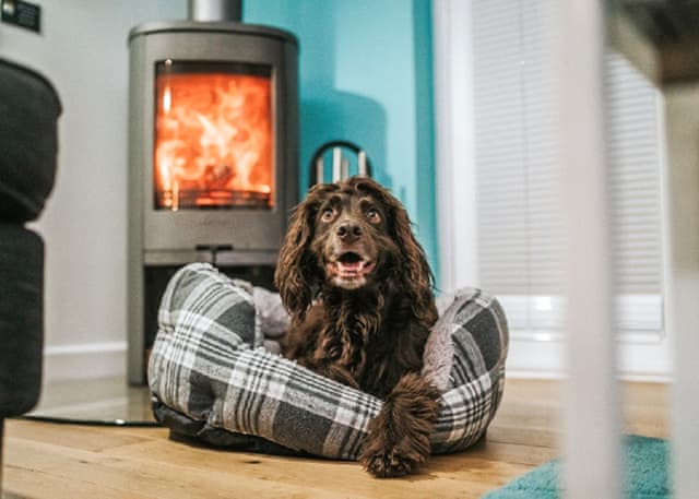 4 Person Signature Lodge Pet - Gwel an Mor, Feadon Lane, Portreath