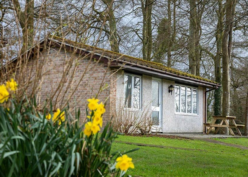 Hengar Manor Country Park in St Tudy, Bodmin - Lodges - Book Online ...