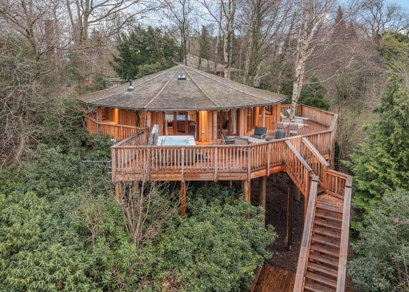 Chestnut Heights Tree House - Henlle Hall Woodland Lodges, Henlle, Nr Oswestry