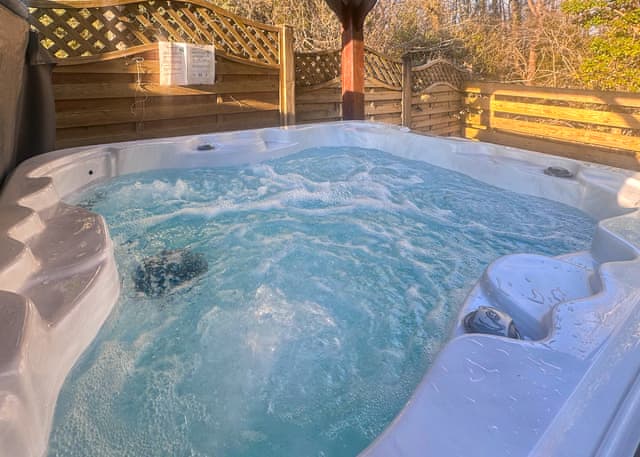 Hawk - Heronstone Lodges, Brecon Beacons National Park, 