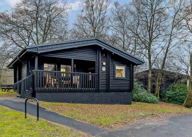 Typical | Falstone (Pet) - Kielder Waterside, Kielder Water and Forest Park