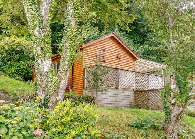 Carne Cabin Premier | Droskyn Spa (Pet) 1.0, Mayflower Caravan - Leycroft Valle, PerranporthStoke 