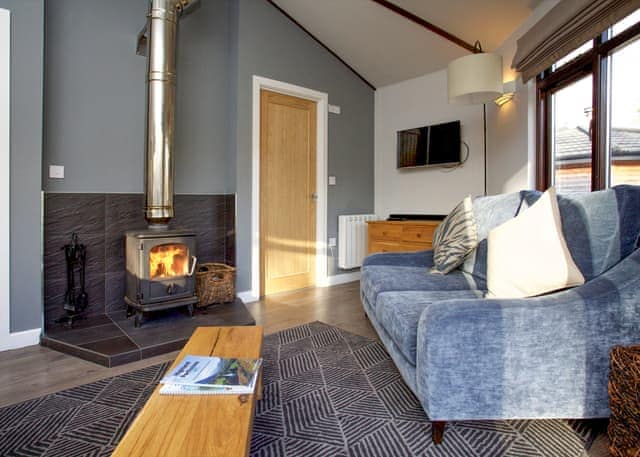 Cabin 1 bed (Pet) -  Loch Tay Highland Lodge Park, Killin