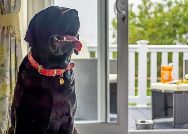 Luxury 2 bed Pet - Cornish Meadows Holiday Park, Hayle