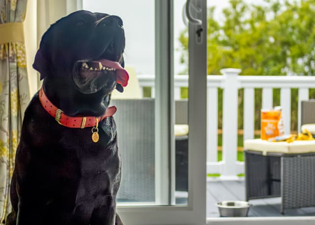 Exclusive 3 Bed HT Pet - Padstow Holiday Village, Padstow