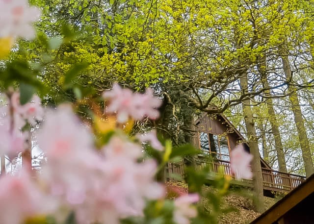 The Mountain Spa - Penllwyn Lodges, Garthmyl, Montgomery