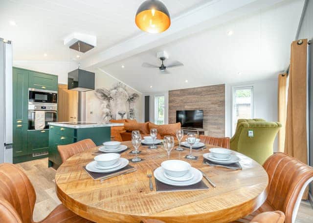 Rhodri - Plas Isaf Lodge Retreat, Caerwys 