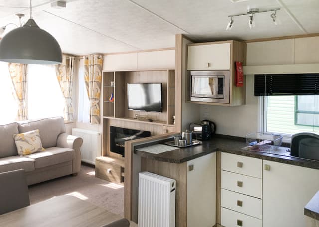 Typical Red Kite Gold | Penrhos Park, Llanrhystud, Cardiganshire