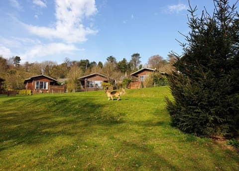 Rudyard Lake Lodges, Nr Leek