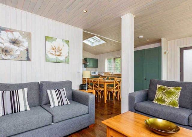 Vista Lodge with Hot Tub 4-6 Pet - Sandy Balls Holiday Village, Godshill, Fordingbridge