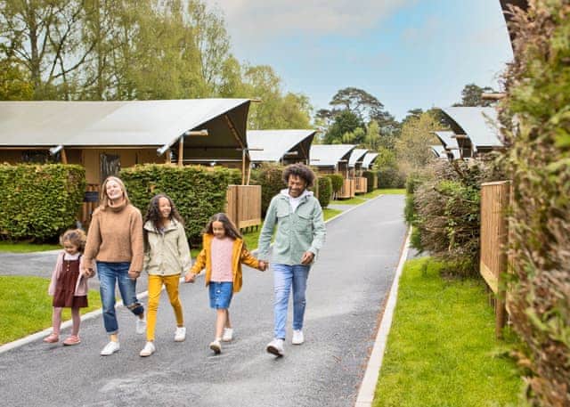 Holton Glamping - Sandford, Sandford, Poole