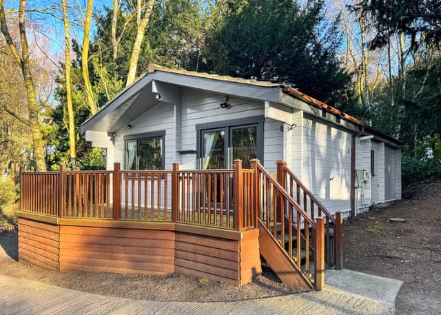 Loxley Pet 30 - Sherwood Castle Holiday Forest, Sherwood Forest, Rufford