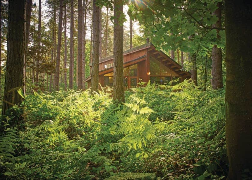 Golden Oak 2 Sherwood Forest Lodges Lodges Book Online