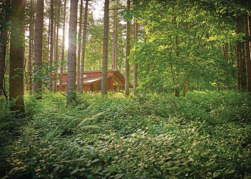 Golden Oak 3 Sherwood Forest Lodges Lodges Book Online