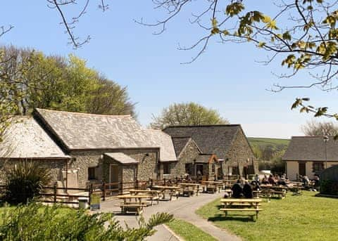 Stowford Farm Meadows, Combe Martin