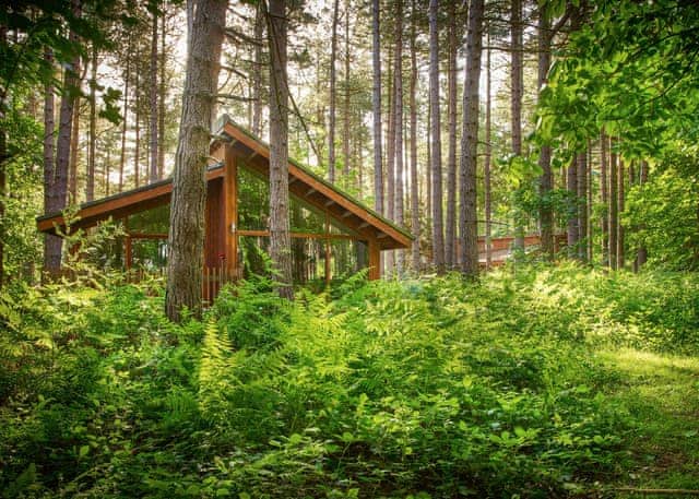 Silver Birch 3, Silver Birch 3 - Thorpe Forest Lodges, Thetford Forest