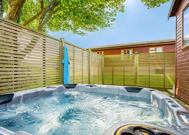 Primrose Lodge 3 Pet - Meadow Lakes Holiday Park, Nr St Austell