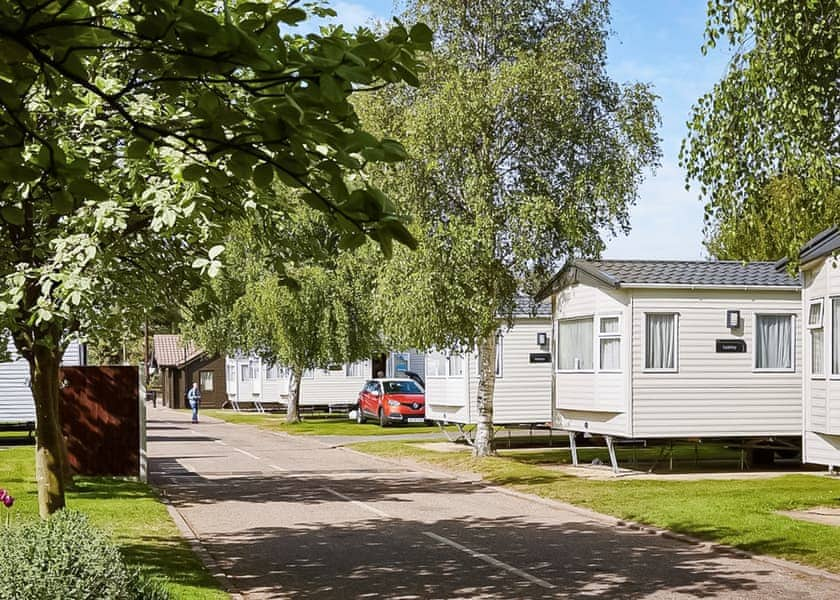 Starling - Vauxhall Holiday Park, Great Yarmouth