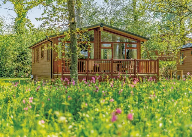 Rowan 2 - Wareham Forest Lodge Retreat, Holton Heath