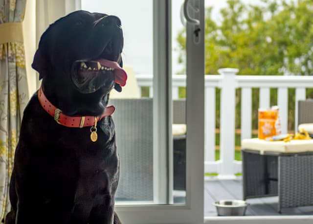 Exclusive Lodge 3 bed HT Pet - Waxham Sands Holiday Park, Great Yarmouth