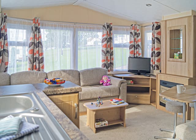 Webbers Willow - Webbers Country Park, Woodbury, Exeter