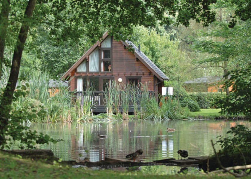 Log Cabin 3 Whitemead Forest Park Lodges Book Online Hoseasons