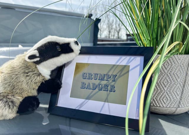 Grumpy Badger (Pet) - Willow Pastures Country Park, Skirlaugh, Nr Hull