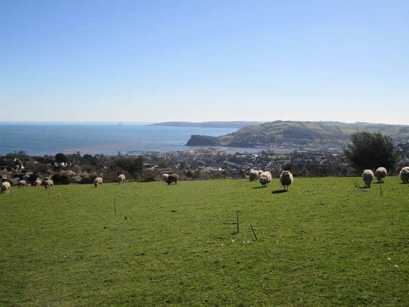 Stunning sea views from the grounds | Pear Tree Cottage, Apple Tree Cottage, The Old Dairy - Higher Holcombe Farm, Holcombe, TeignmouthH