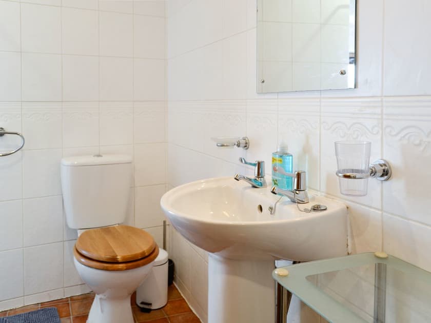 Family shower room | Bron Elan, Bron Elan, Dolwyddelan, near Betws-y-Coed