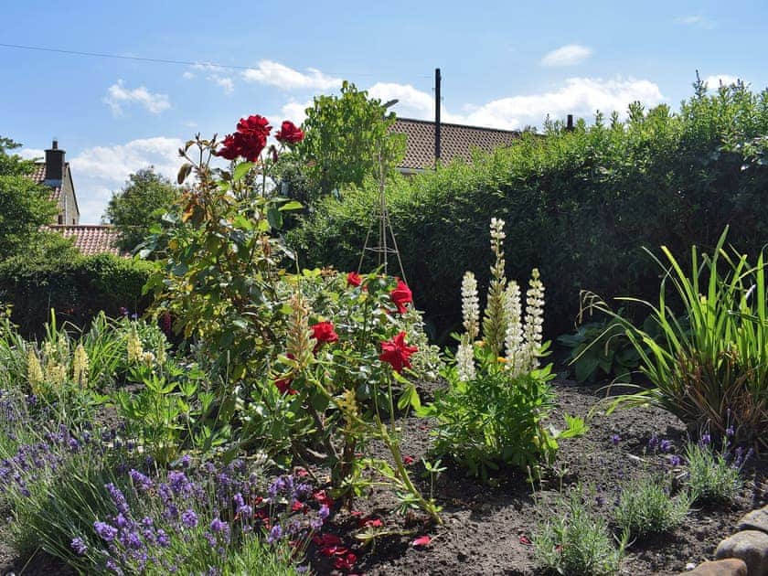 Lovely lush garden with attractive planting | Rowan Cottage, Aislaby, near Whitby