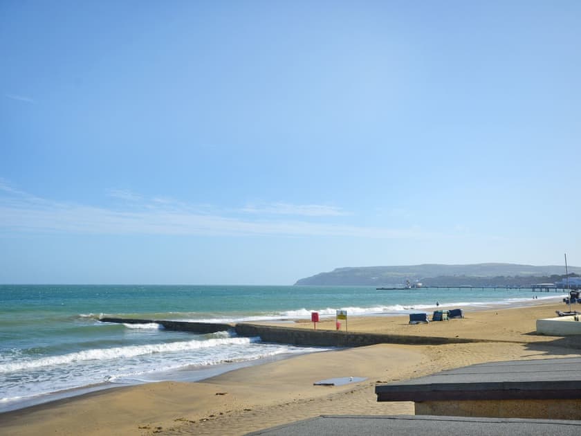 Wonderful beach 30 yeards away | Seagulls, Sandown