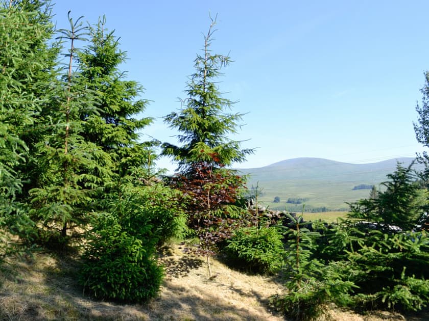 View | Swallow Lodge, Bardennoch West, near Carsphairn