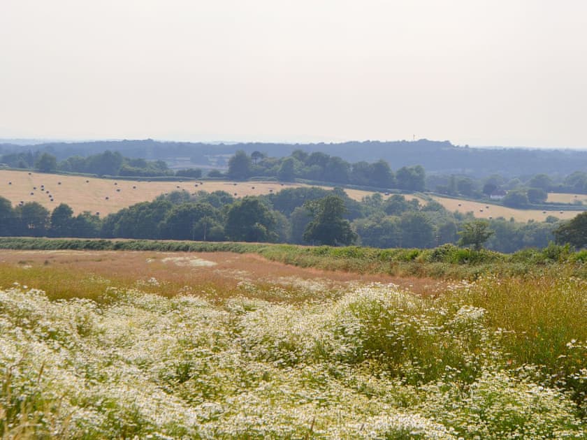 Surrounding view | Cornbrash Farm Cottage, Earlsdown, near Heathfield