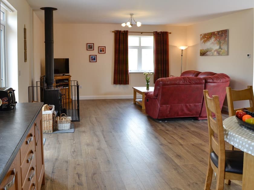 Open plan living space | Liftingstane Cottage - Liftingstane, Closeburn, near Thornhill