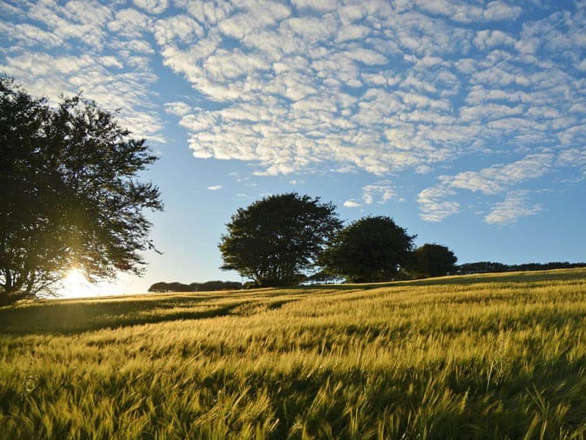 Wonderful surrounding countryside | The Farm House - Lower North Radworthy Cottages, Heasley Mill, near South Molton