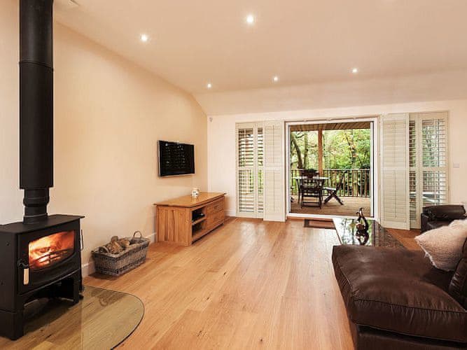 Willow Lodge - Holiday Lodge in South West England - Image 2