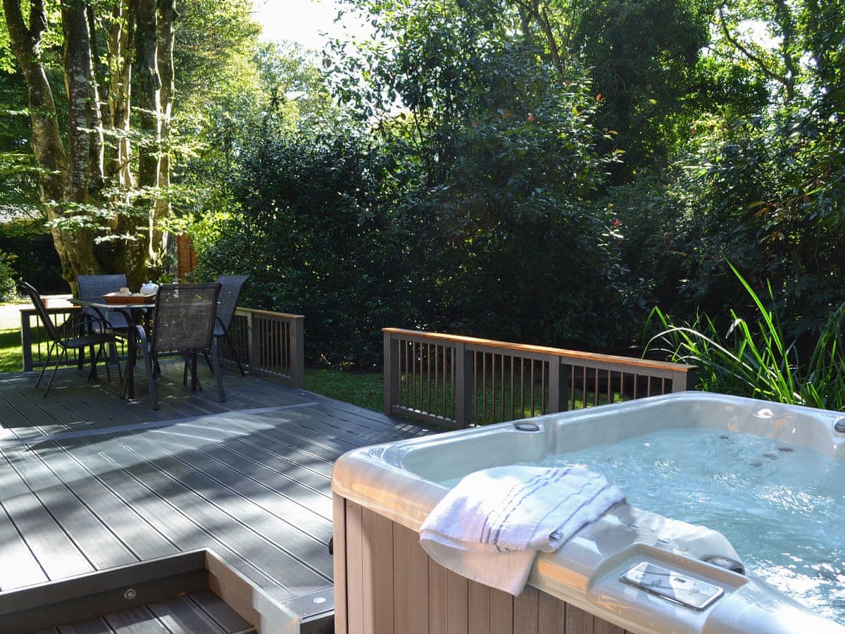 Trelispen Lodge - Holiday lodge in South West England - Image 2