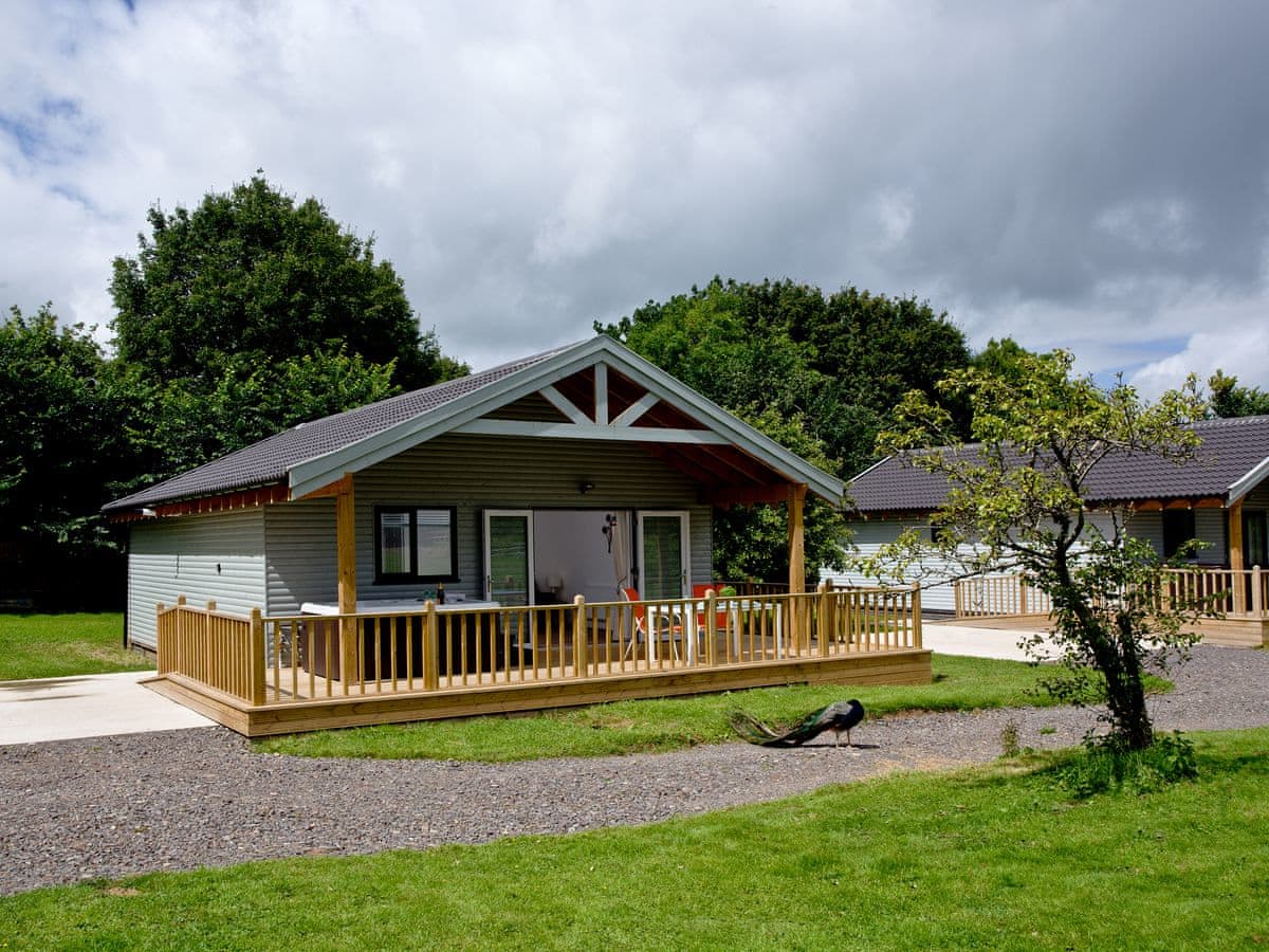 The Clover Lodge - Holiday lodge in South West England - Image 5