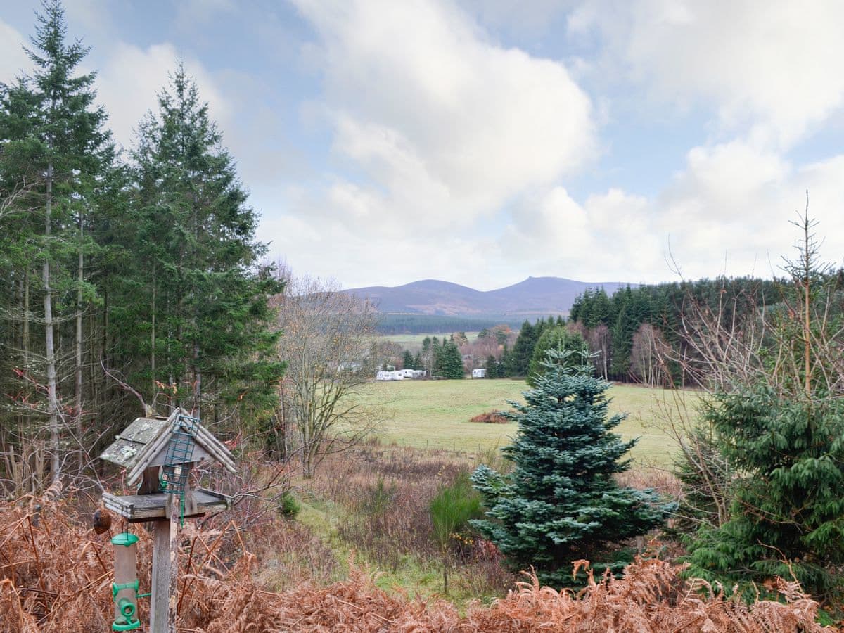 Birchland - Park Lodge - Image 5