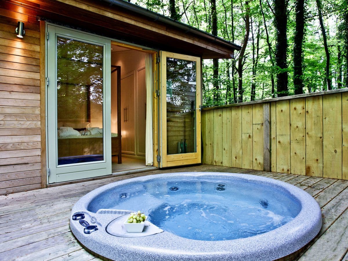 Huccaby Lodge - Holiday lodge in South West England - Image 2