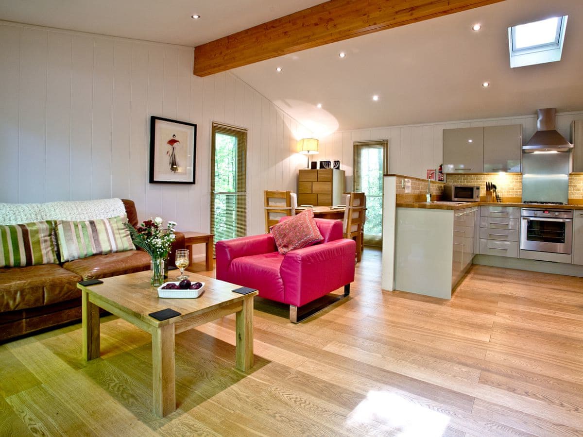 Huccaby Lodge - Holiday lodge in South West England - Image 4