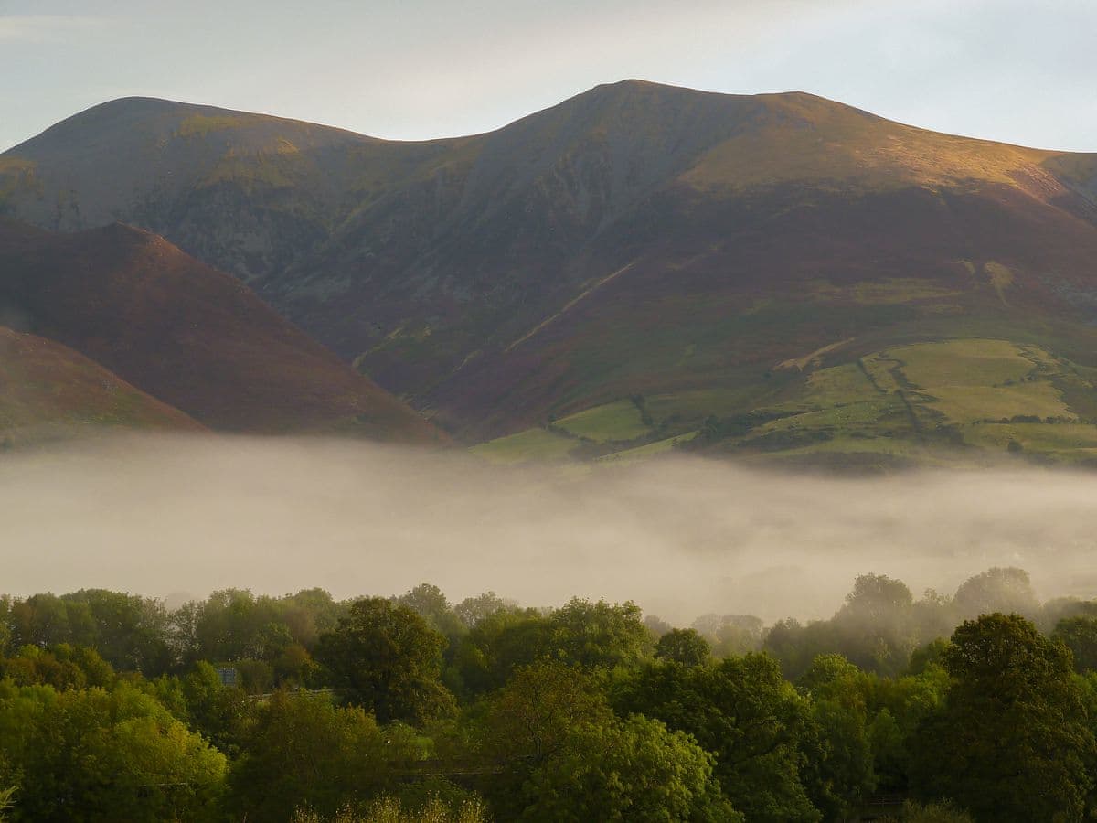 Bracken Howe