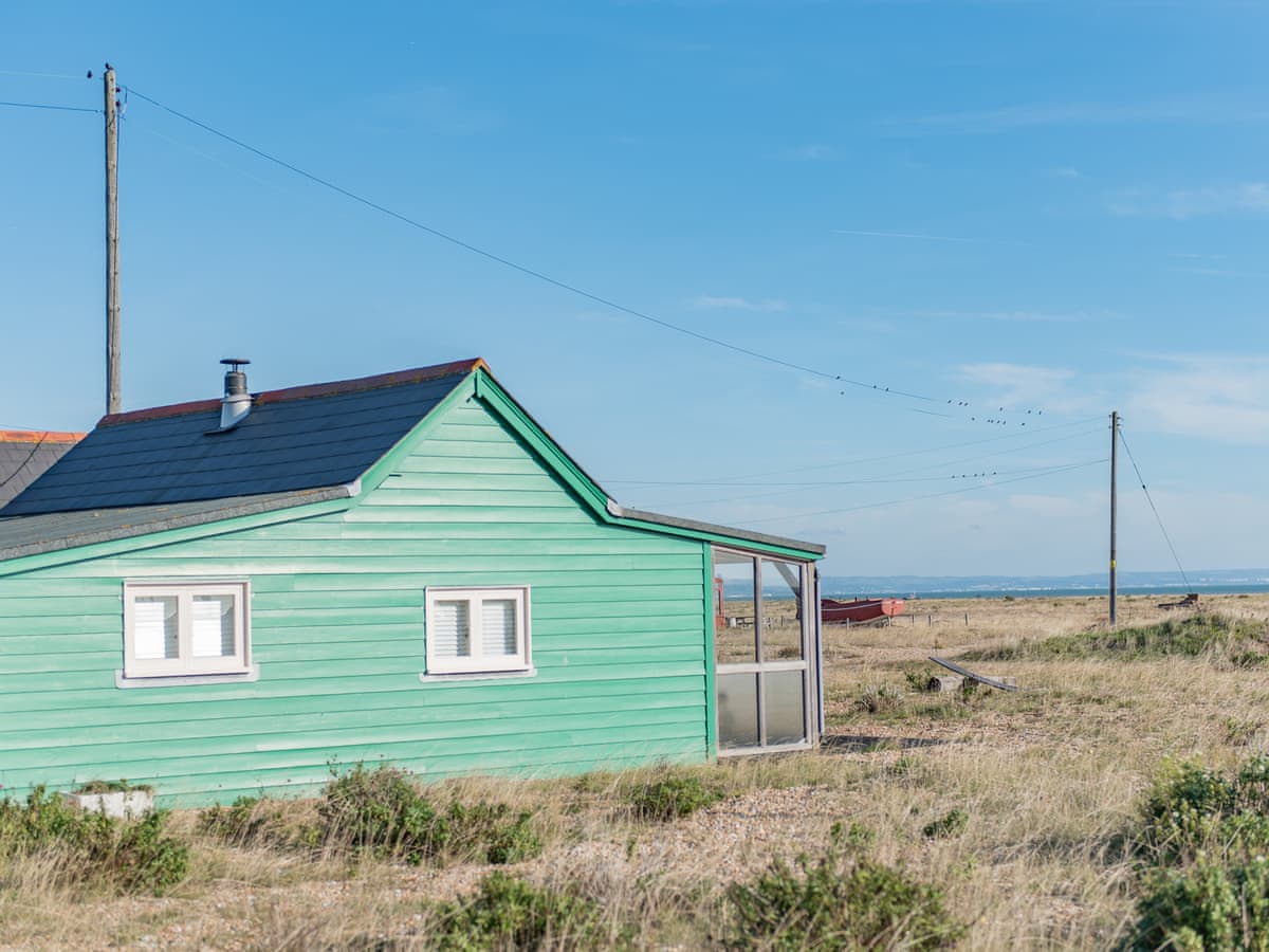 Fulmar Ref M13811 In Dungeness Kent Mulberry Cottages